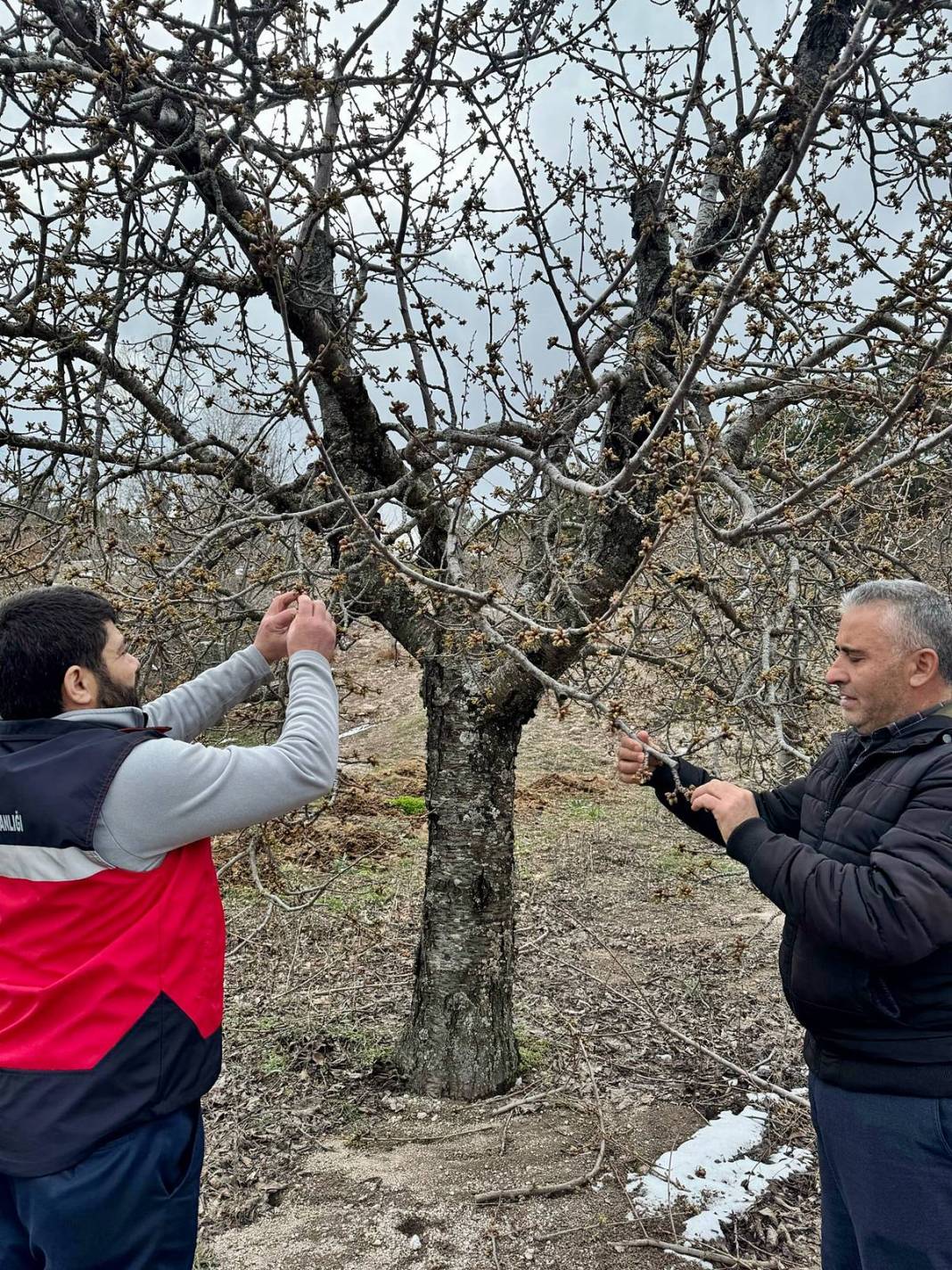 Tarımda tarihin en büyük felaketi yaşanıyor! Meyve, sebze fiyatlarında rekor artış yaşanacak 18